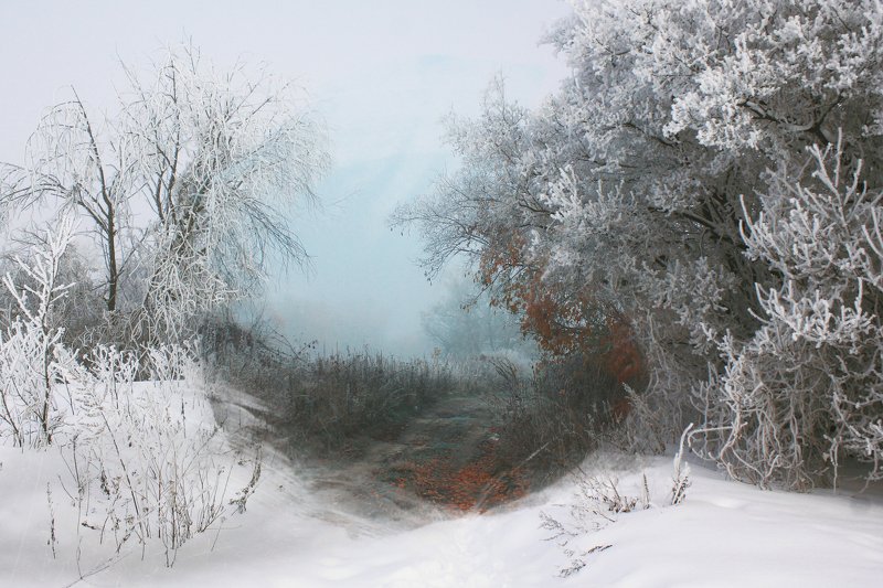Осень и Зима фото превью