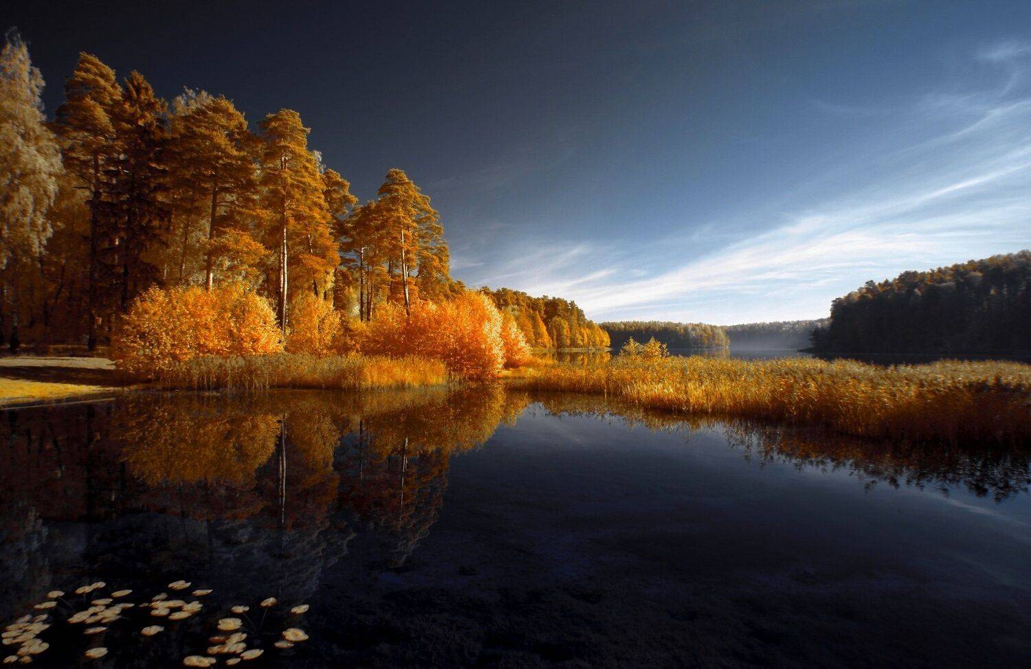 infrared,ик-фото,инфракрасное фото, инфракрасная фотография, пейзаж, осень, беларусь, Sixten ( Сергей )
