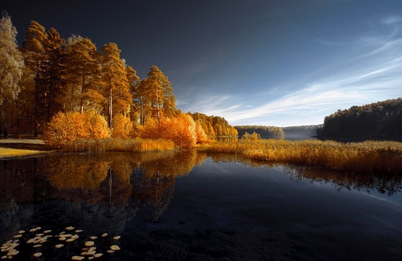 Услышать осень. фото превью