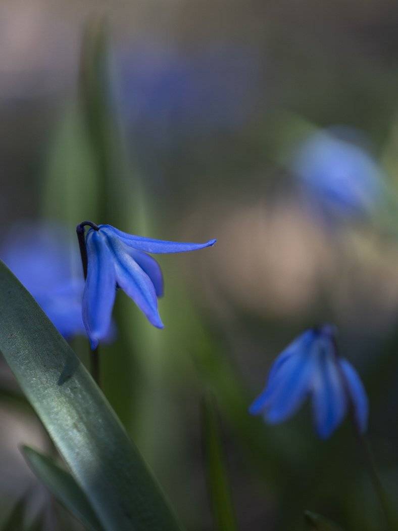 апрельская акварель, Евгений Слободской