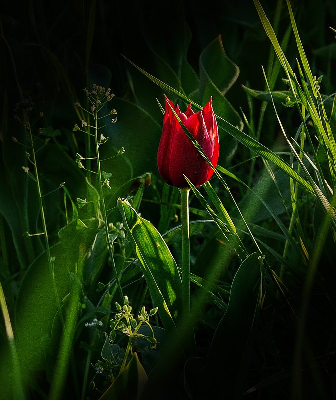 затерявшийся фото превью