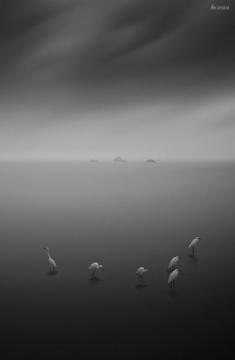 black & white,landscapes,reef,sea,travel,light and shadow,wenzhou,china,ecology,heron,bird,  Xiaolei Yang