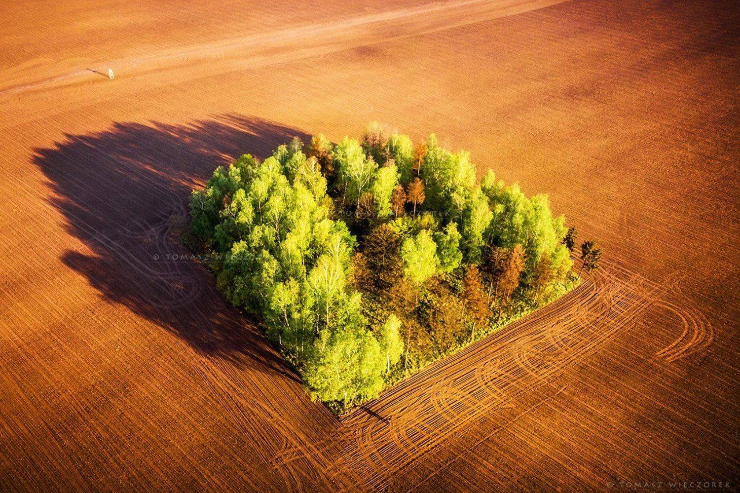 poland, polish, field, spring, awesome, amazing, adventure, colours, landscape, drone, sunrise, sunset, light, outdoor, travel, Tomasz Wieczorek