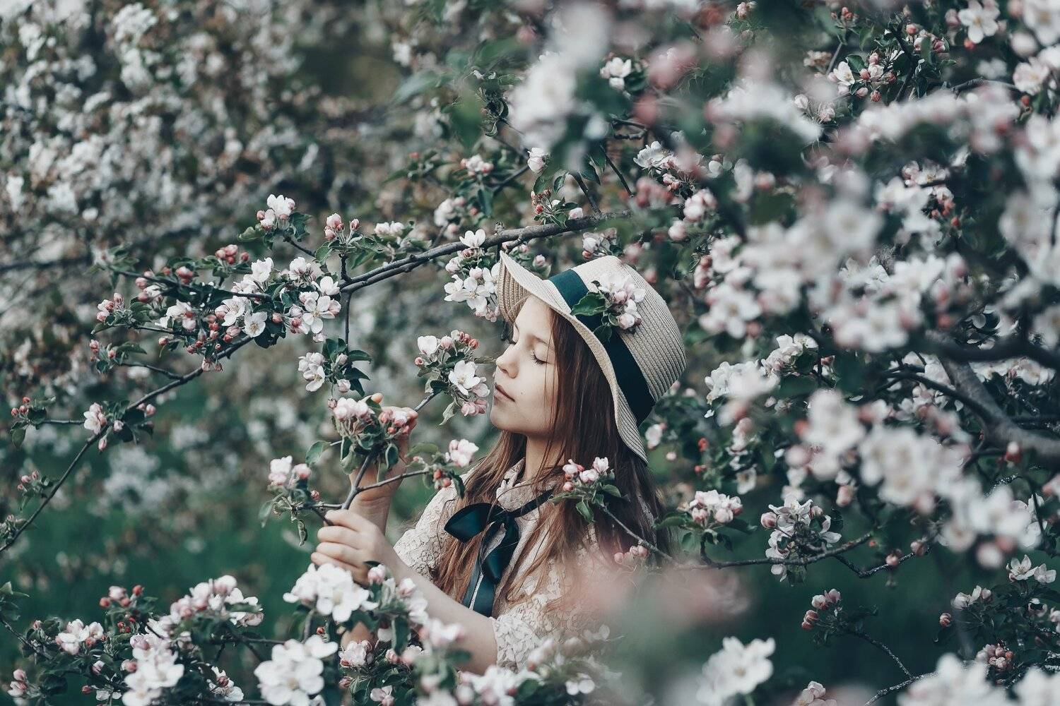 35mm, 4x5, 6x6, 6х6, 85mm, Art, Art nude, Ballerina, Ballet, Battur, Beautiful, Beauty, Canon, Canon 5D Mark III, Car, Color, Dance, Dress, Emotion, Eyes, Face, Flowers, Ganzo, Genre, Girl, Hair, Hero, Irinadzhul, Light, Lilac, Model, Mongol, Mongolia, Mo, Вероника Гергерт