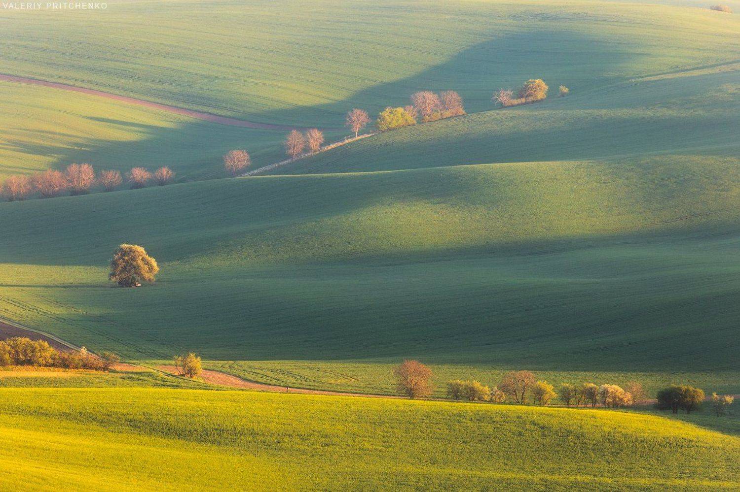 , Валерий Притченко