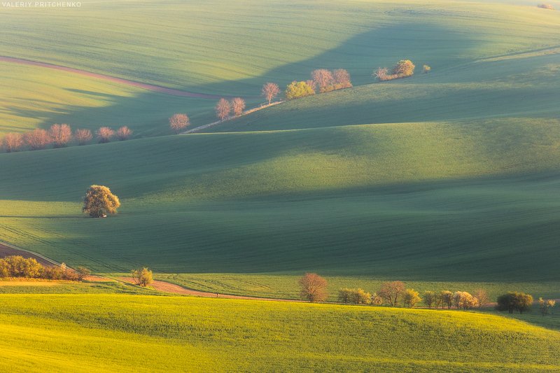 Просторы Южной Моравии. фото превью