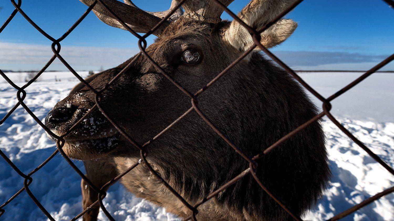 , Сергей Скоробогатов