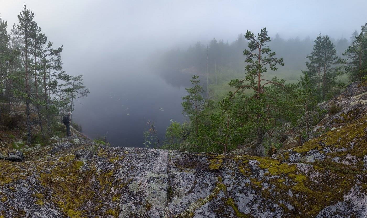 сельги, ленинградская область, Арсений Кашкаров