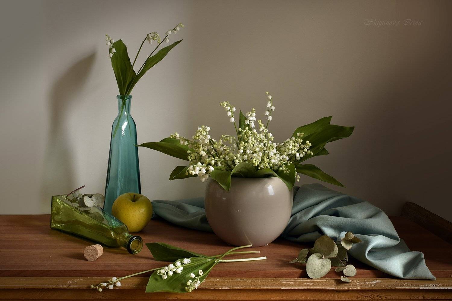 , Шипунова Ирина