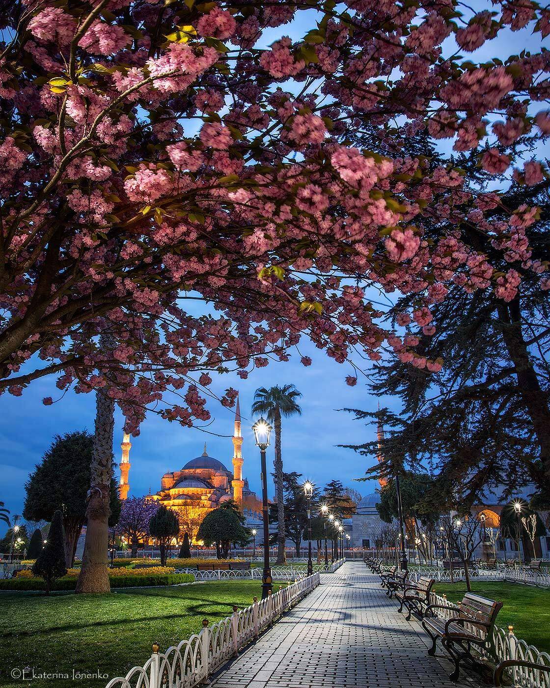 , Екатерина Ионенко