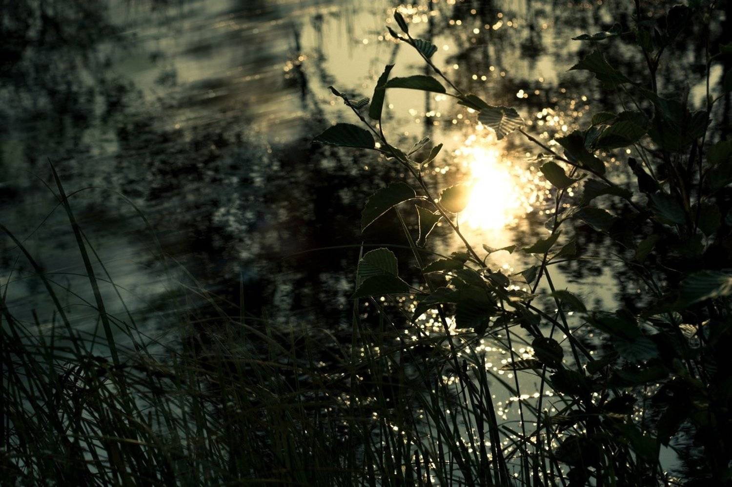 , Альбина Хакимова