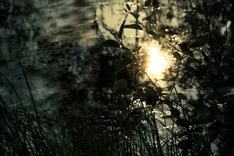 ... фото превью