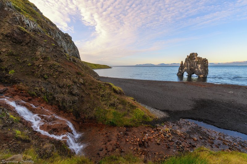 На водопое фото превью
