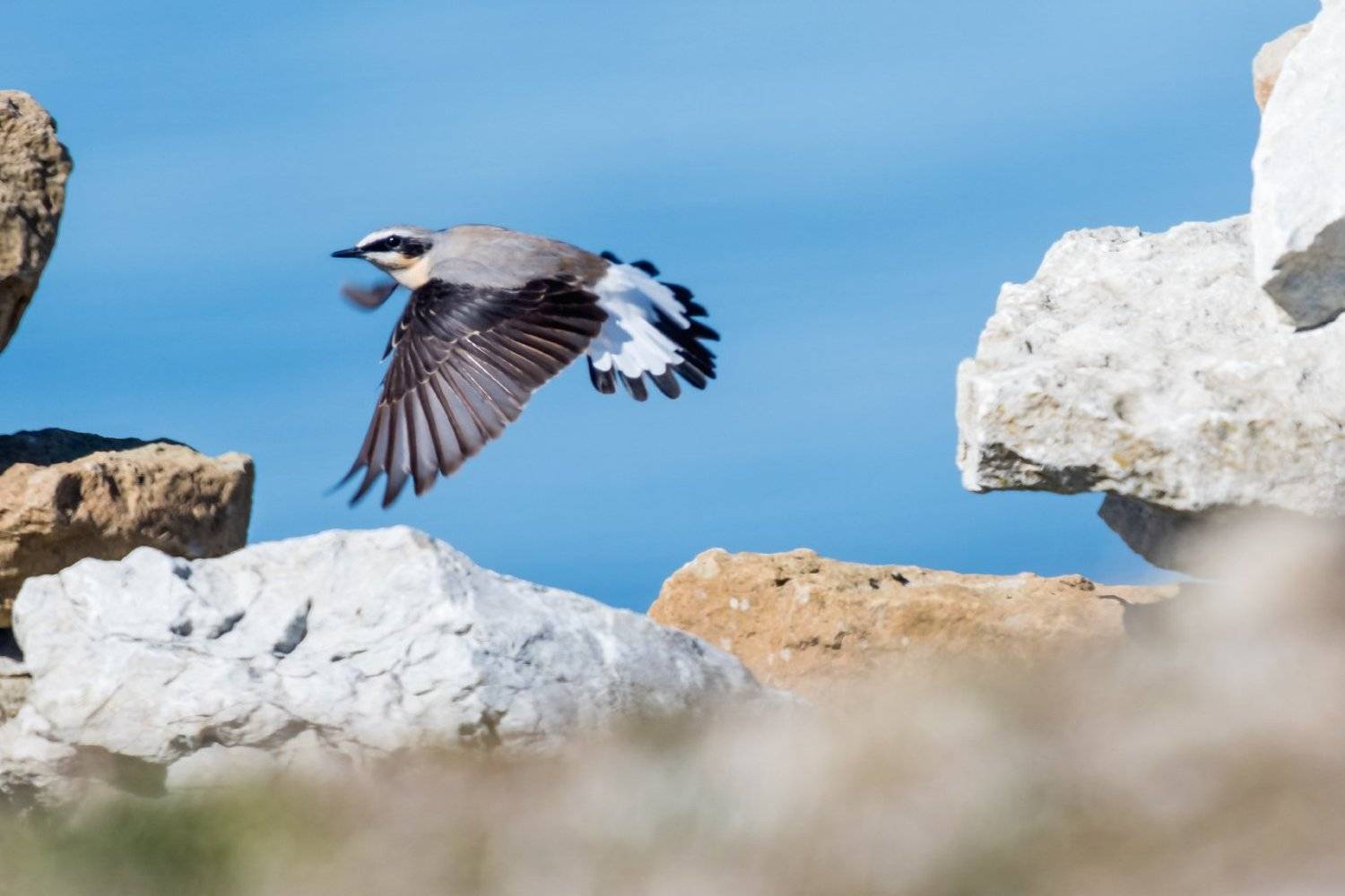 , Александр Абросимов