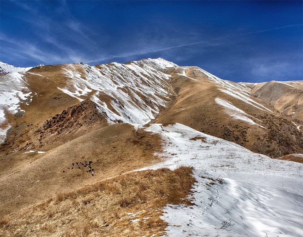 кыргызстан, горы, Элина Магалимова