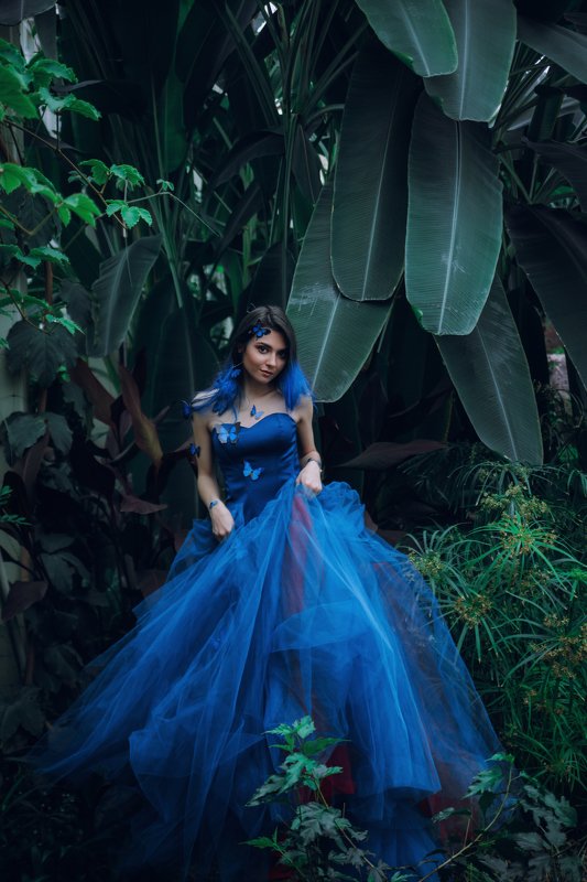 Фея повелительница бабочек фото превью