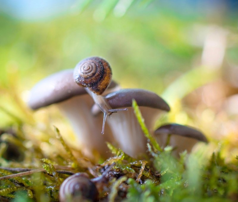Маленькая история... фото превью