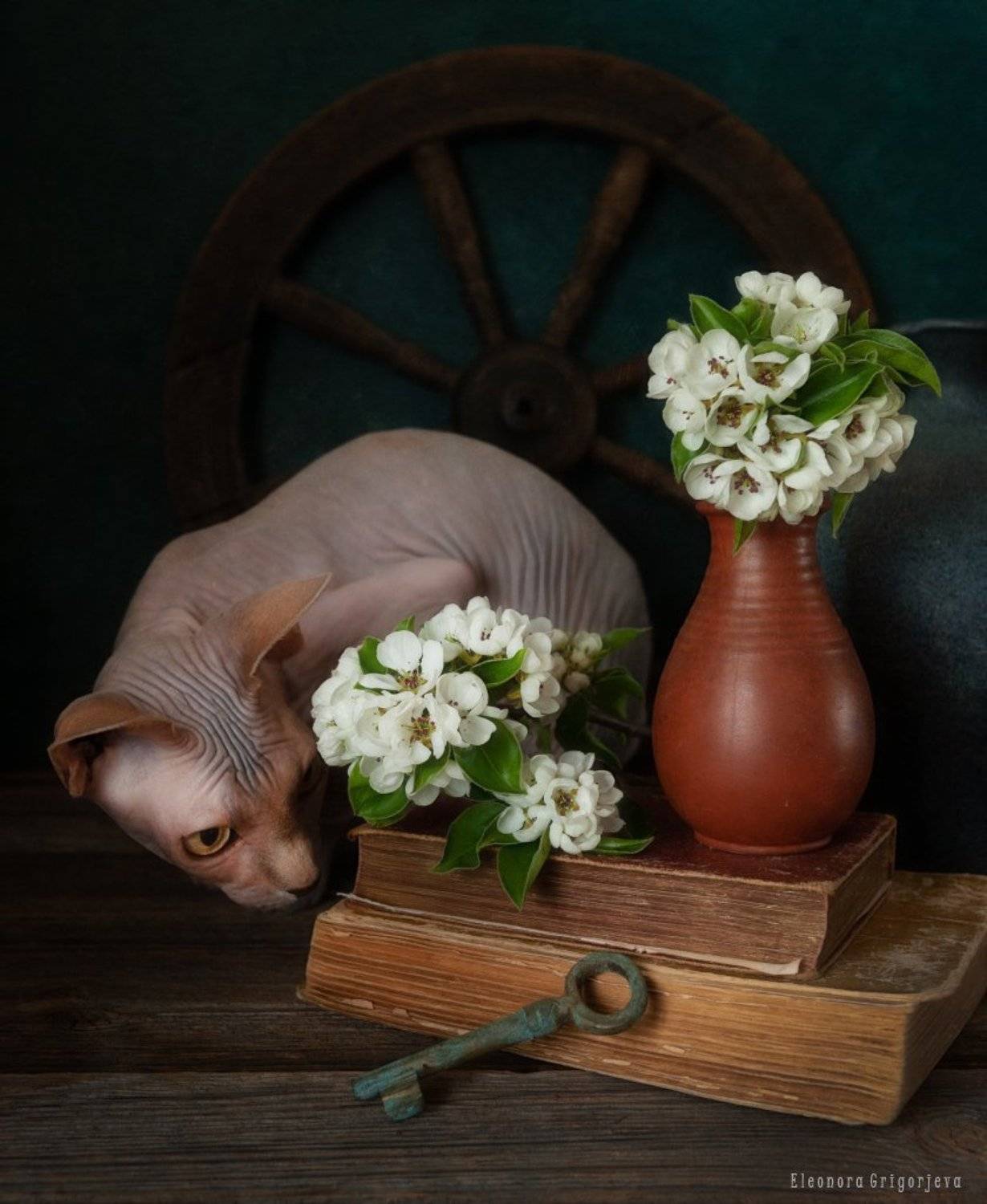 , Eleonora Grigorjeva