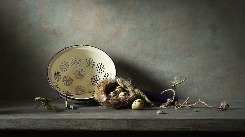 Гнездо фото превью