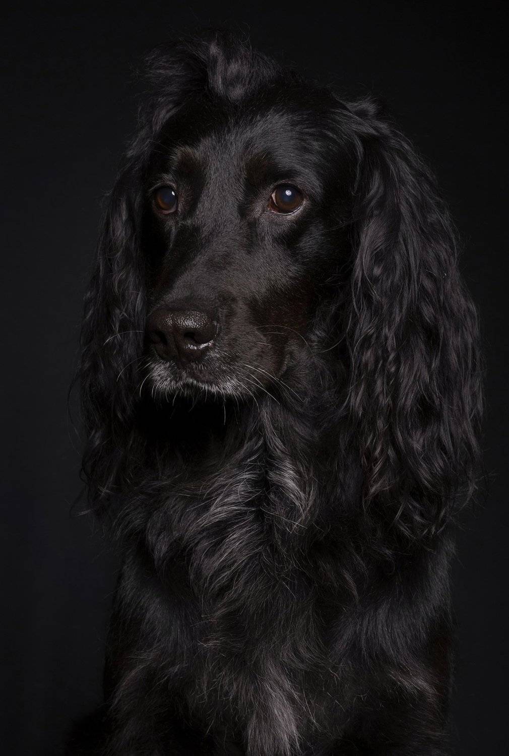 , Aleksandr Karyagin