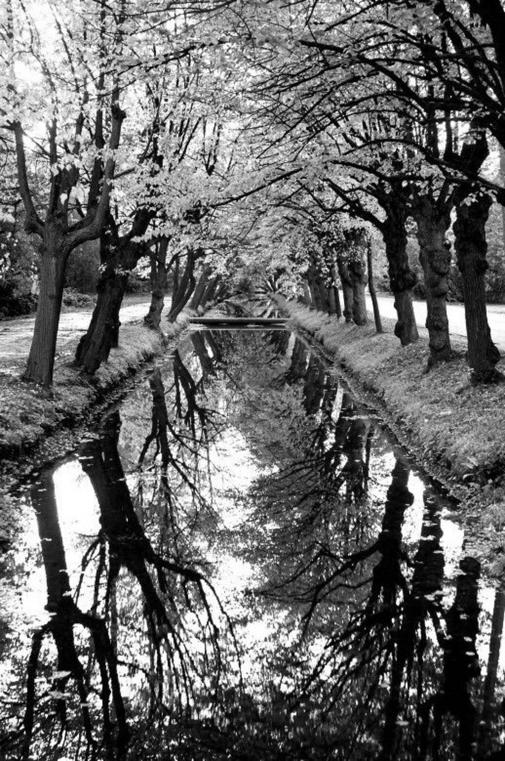 , ИГОРЬ МЕЛЬНИКОВ