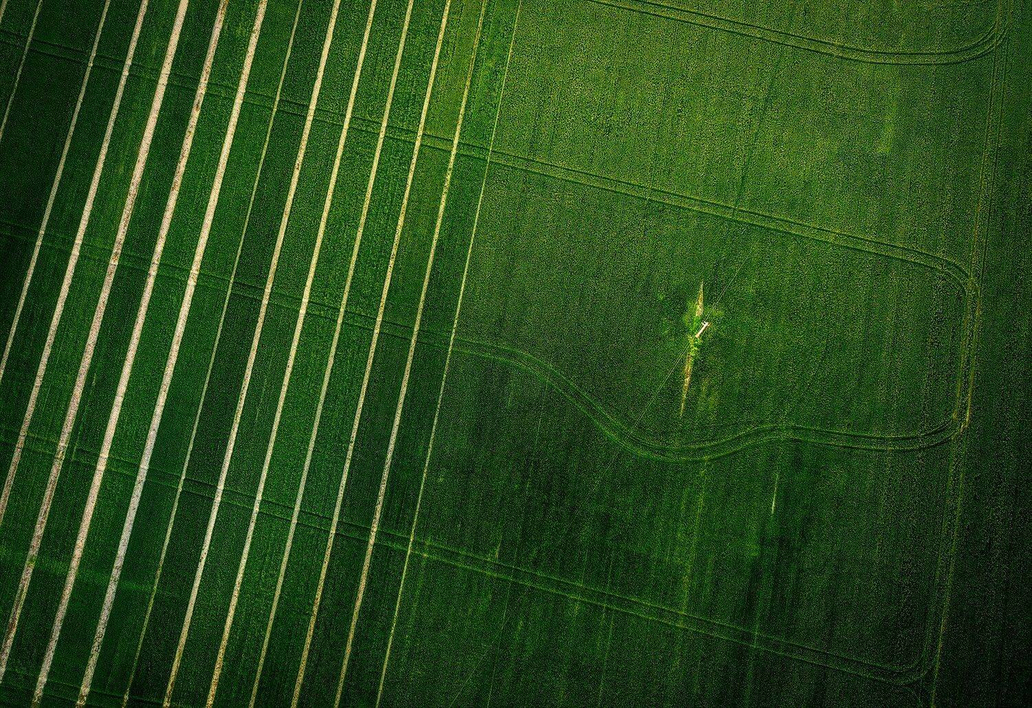 , Тодор Божков