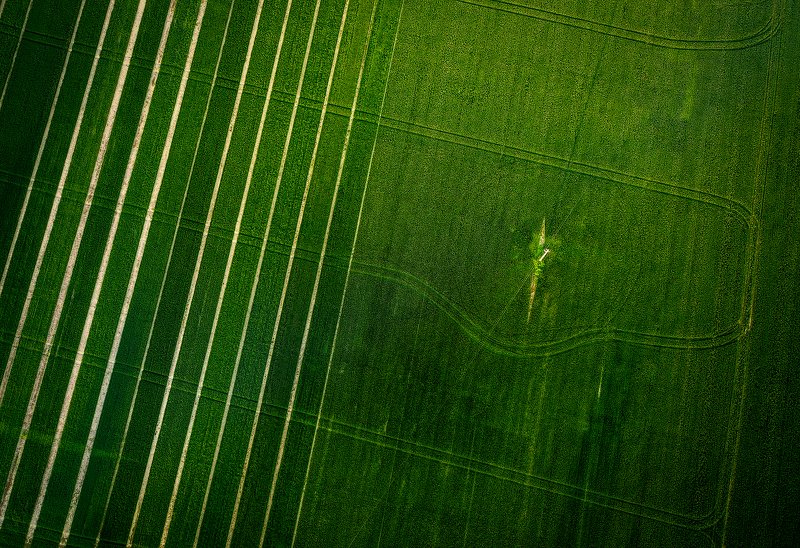 Красивая Земля фото превью