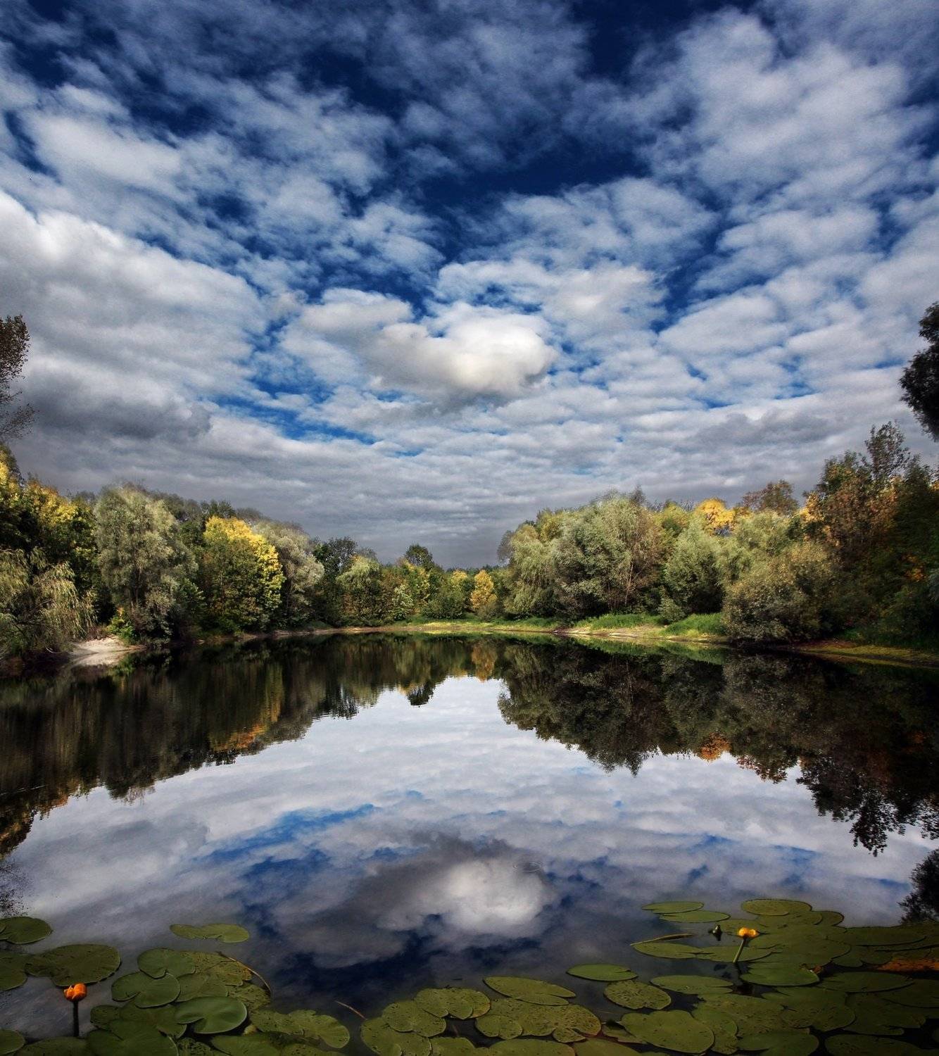 gomel belarus lake  озеро беларусь гомель лето, Иванчиков Дмитрий
