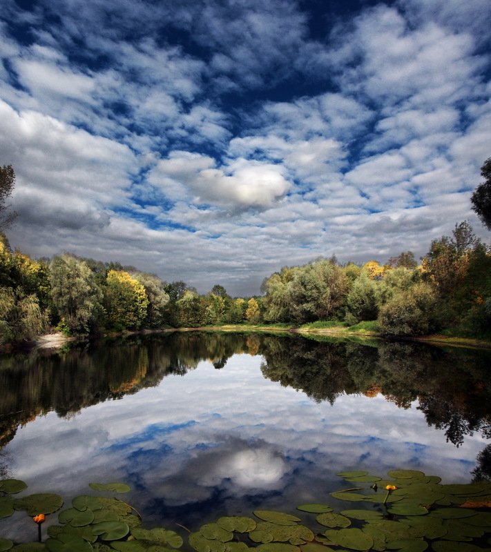 gomel belarus lake  озеро беларусь гомель лето Конец лета фото превью
