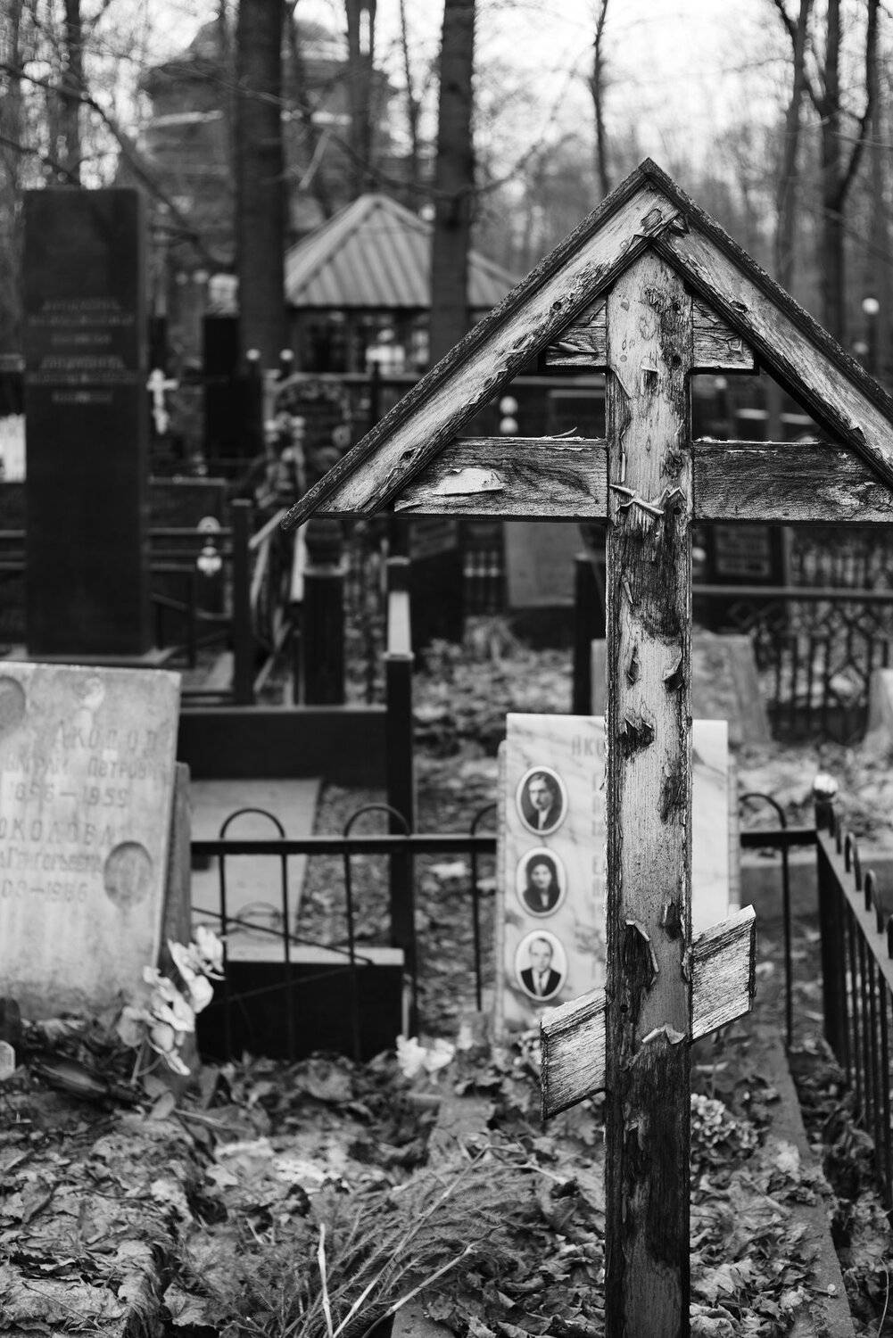 наблюдения, Алексей Егоров