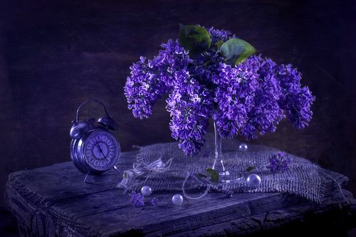 Время сирени