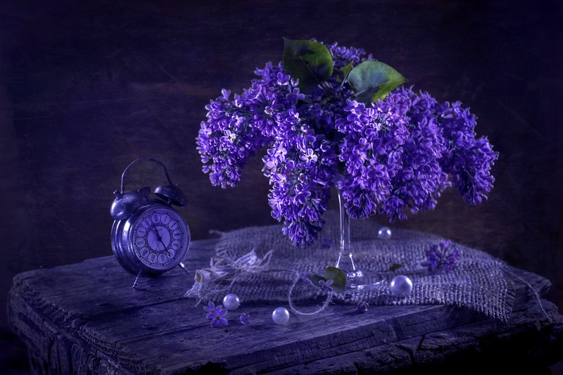 Время сирени фото превью