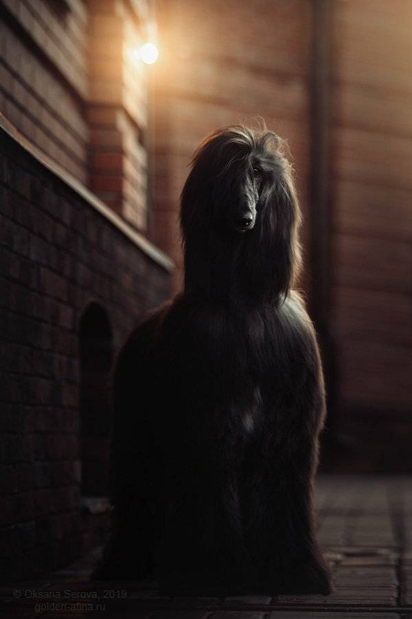 , Оксана Серова