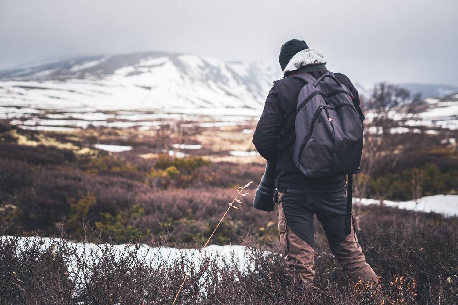 photographer,travel,dovre,mountains,dovrefjell,norway,norwegian,outdoor,scandinavia,, Adrian Szatewicz