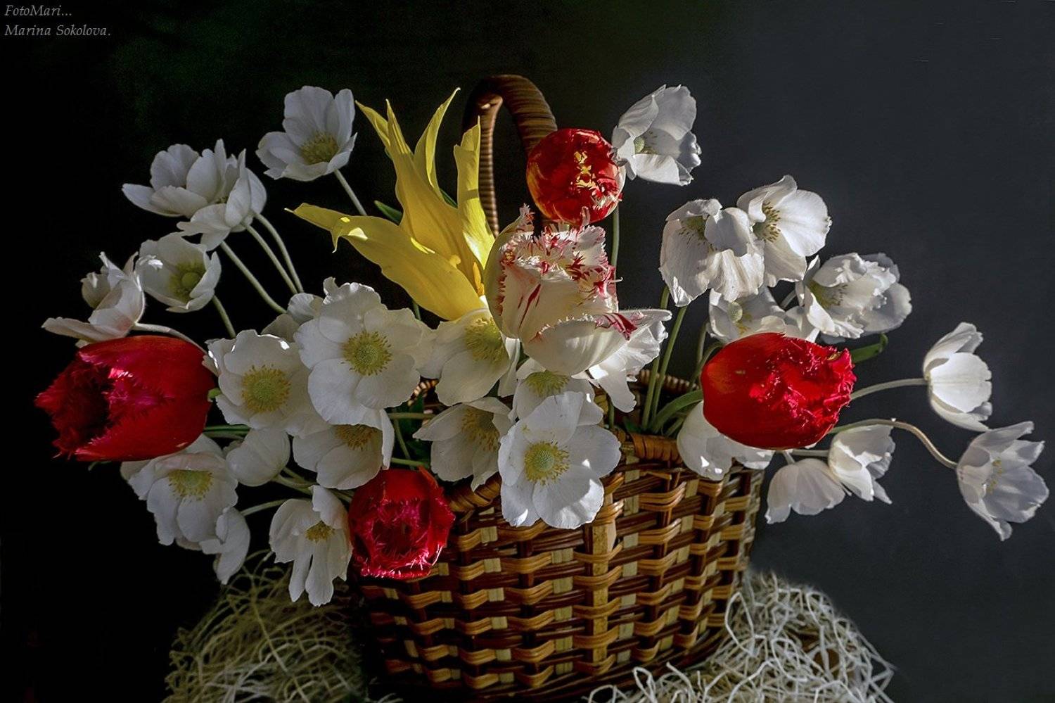 , Марина Соколова