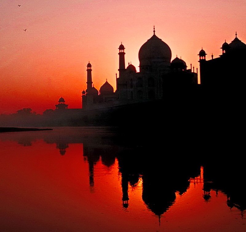 TAJI MAHAL фото превью