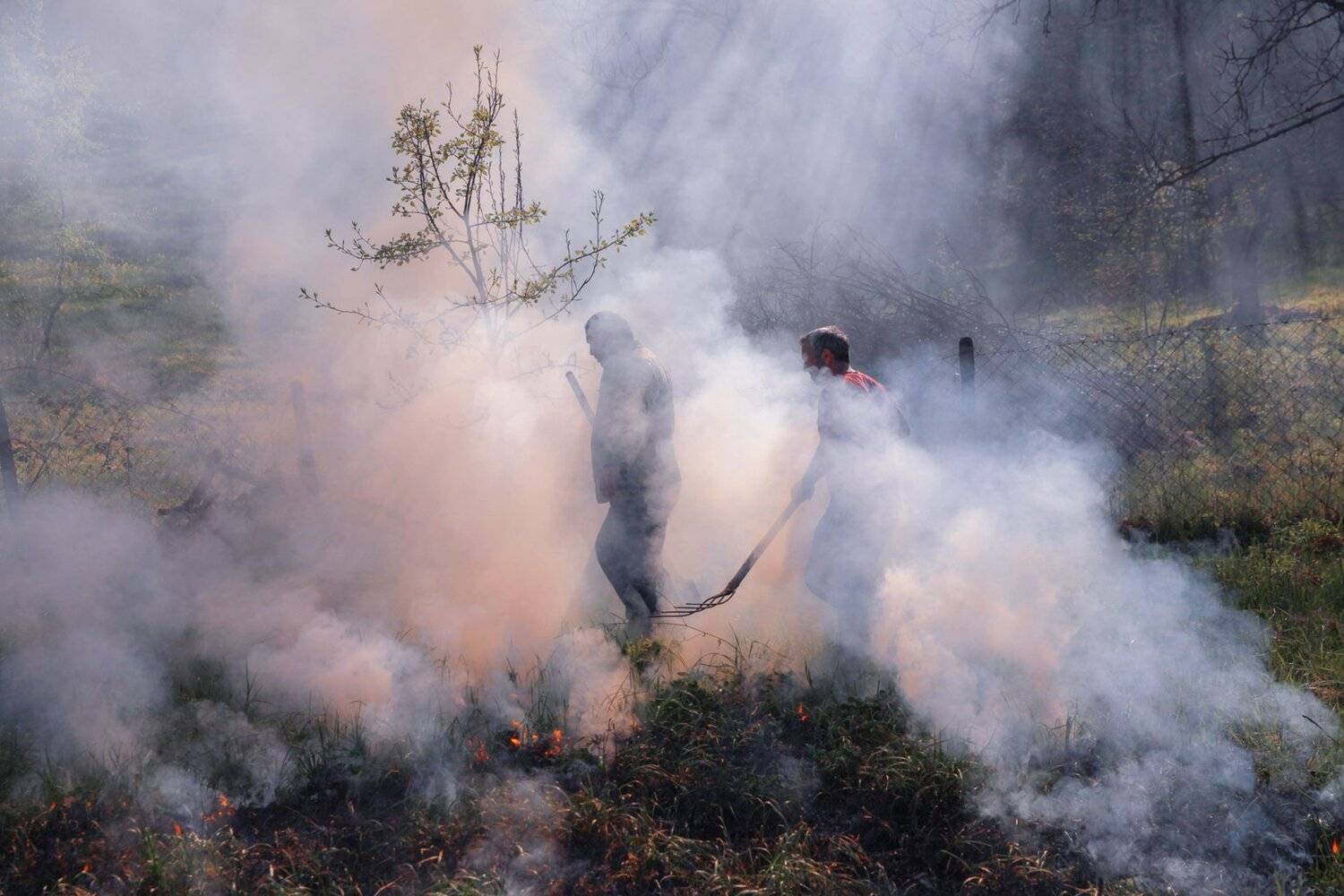 пожар,тушения,огонь,дым,весна,, Marat Magov