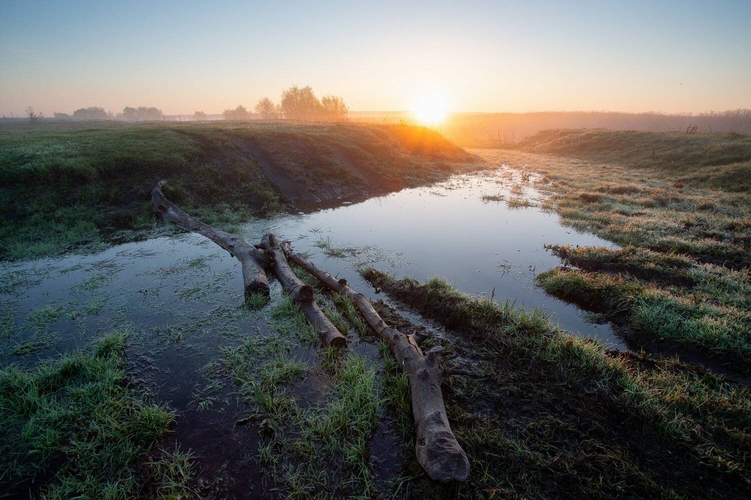, Александр Бредихин