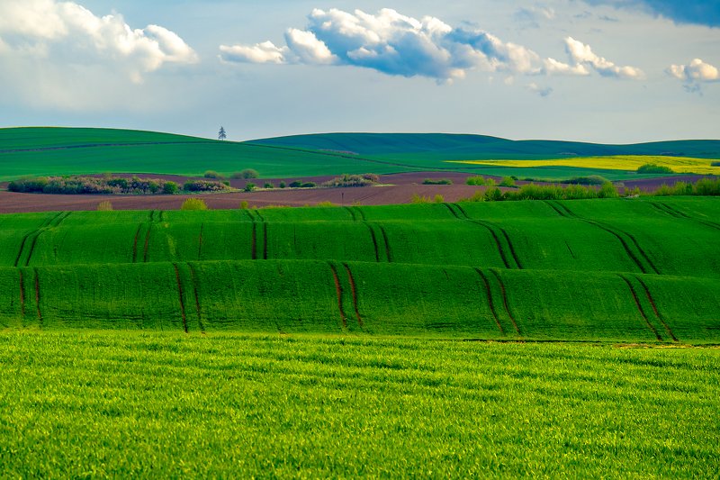 фото превью