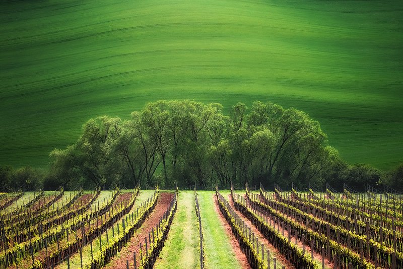 Moravia фото превью