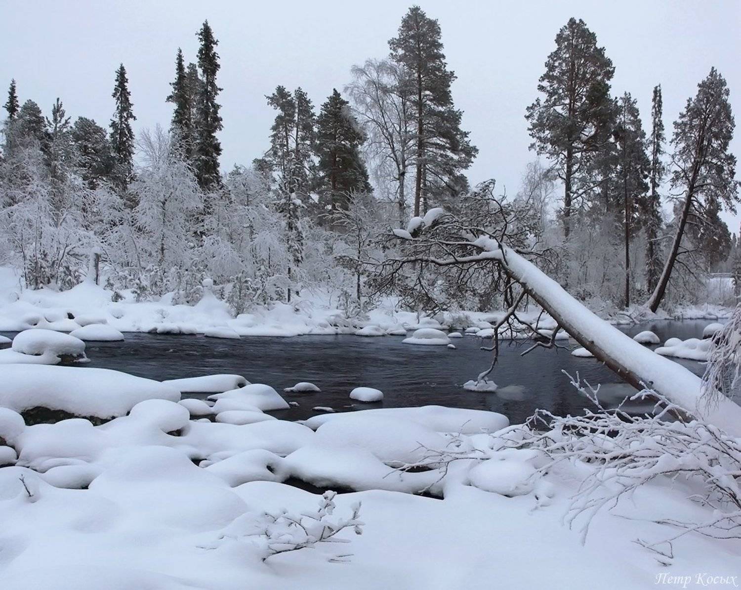 мурманскаяобласть, зима, Петр Косых