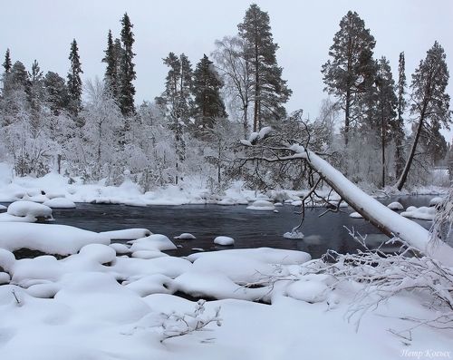 Хмурый день