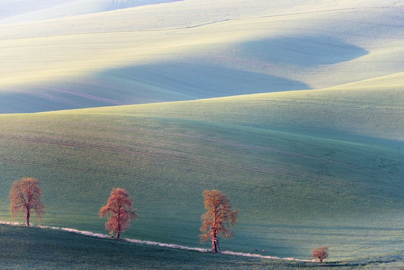 В Моравских полях фото превью