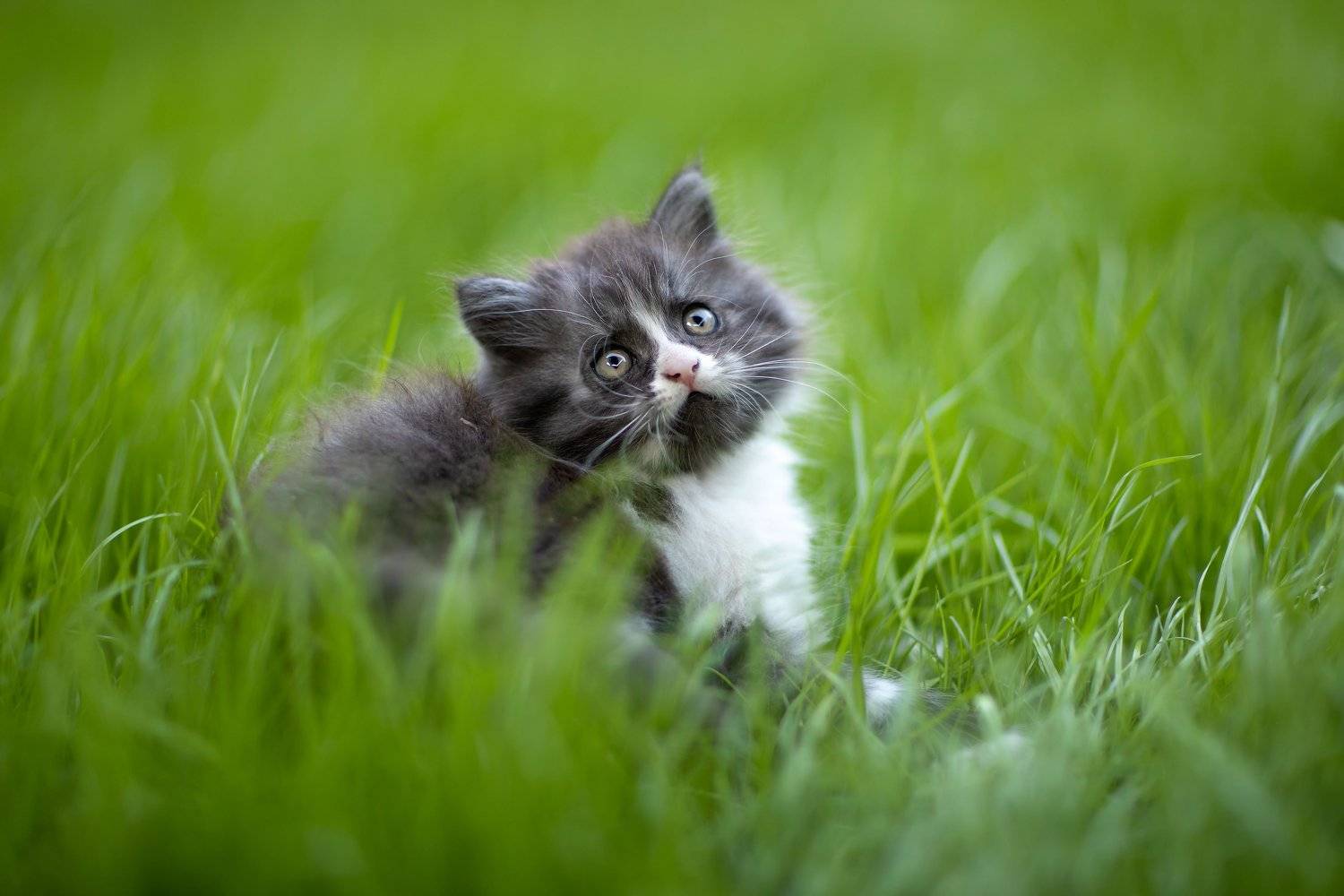 , Коротун Юрий