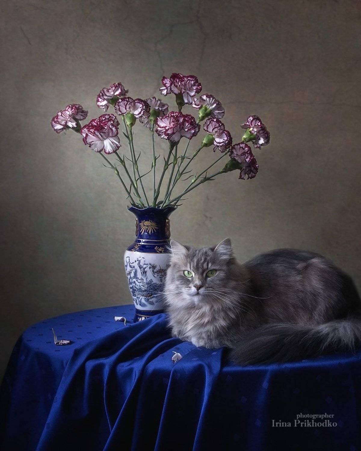 цветочный натюрморт, кошка Масяня, кошки, наши питомцы, котопортрет, котонатюрморт, Ирина Приходько