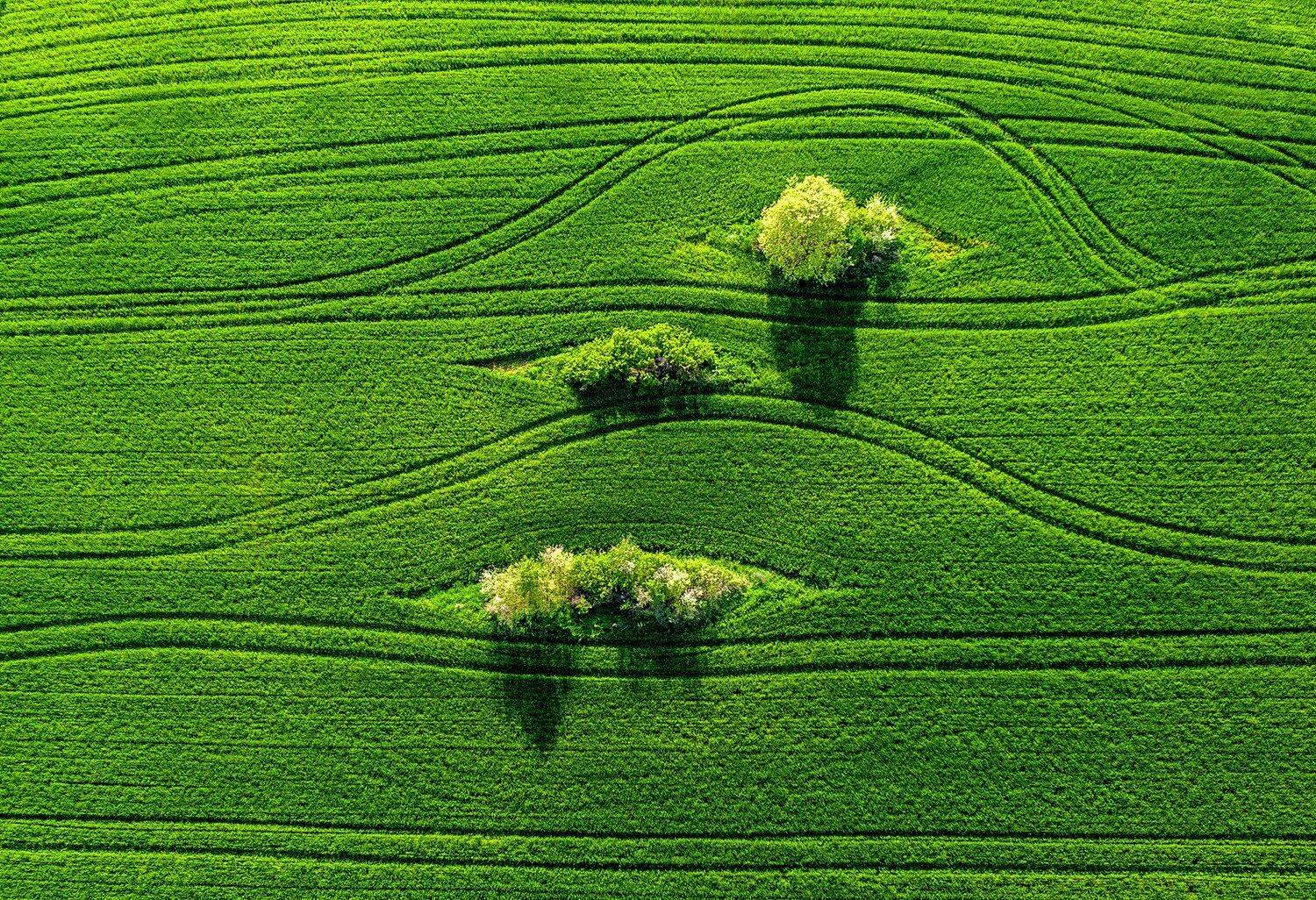 #earth #planet #landscape #river #yellow, Тодор Божков