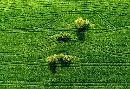 Our Beautiful Earth || Наша Земля Красивая