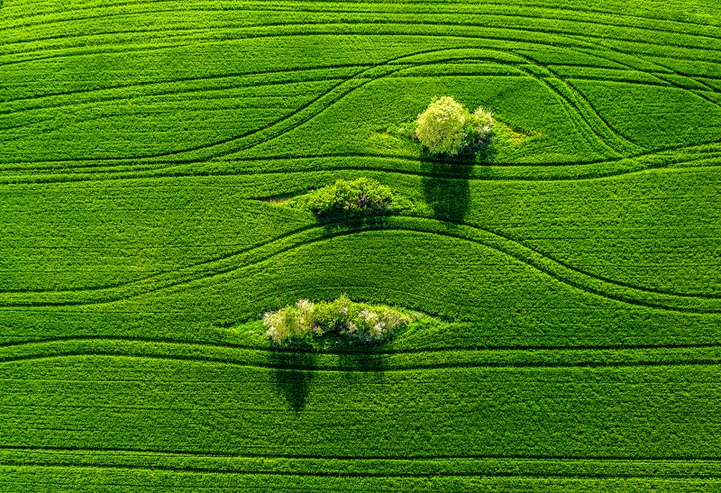 Our Beautiful Earth || Наша Земля Красивая фото превью