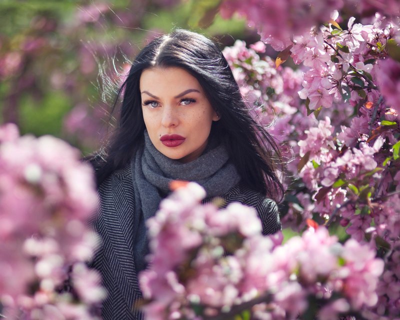 La vie en rose фото превью