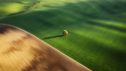 Моравская абстракция